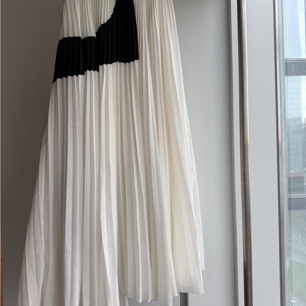 Proenza Schouler Pleated Skirt